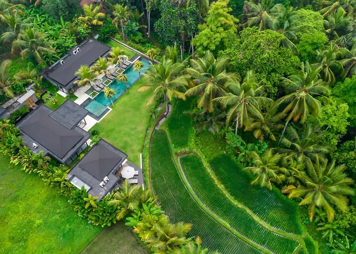 Olirine By Balisuperhost Villa Ubud